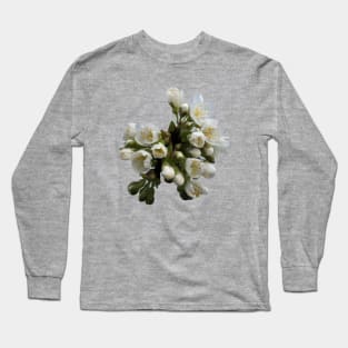 Cherry Blossoms Long Sleeve T-Shirt